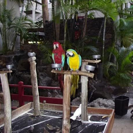 	$earching 4 deals | Amazon